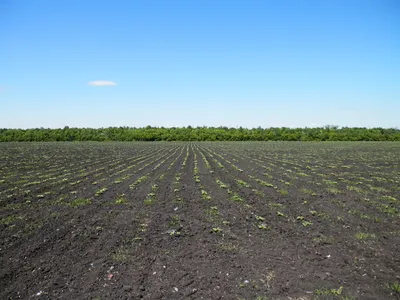 Продам земельный участок 4,6 га. на трассе М-5 Урал